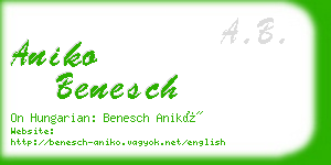 aniko benesch business card